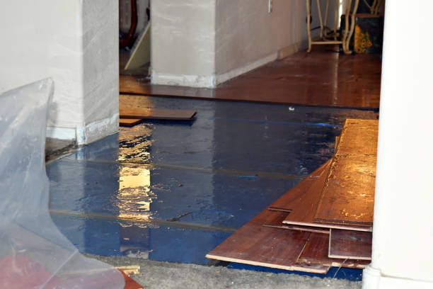 Professional Burst Pipe Cleanup technician working in Lincoln, TX